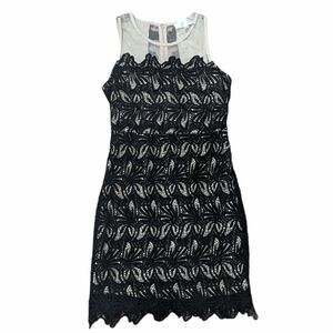 J.O.A. Los Angeles Women's Black & Nude Lace Dress